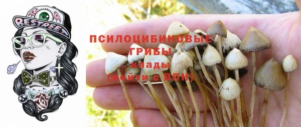 МДПВ Киренск