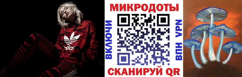 Галлюциногенные грибы Psilocybine cubensis  Купить  Демидов 